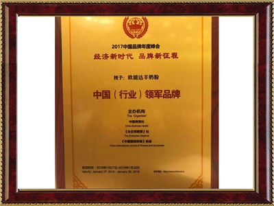 中国行业领军品牌