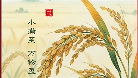 🌾小满至，万物盈