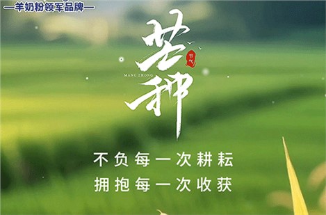 🌾芒种